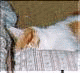 ȂȂ΂`