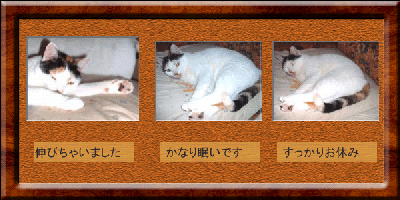 zuo[W