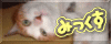 みっくすへ